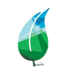 PAYSPort-Go leaf logo