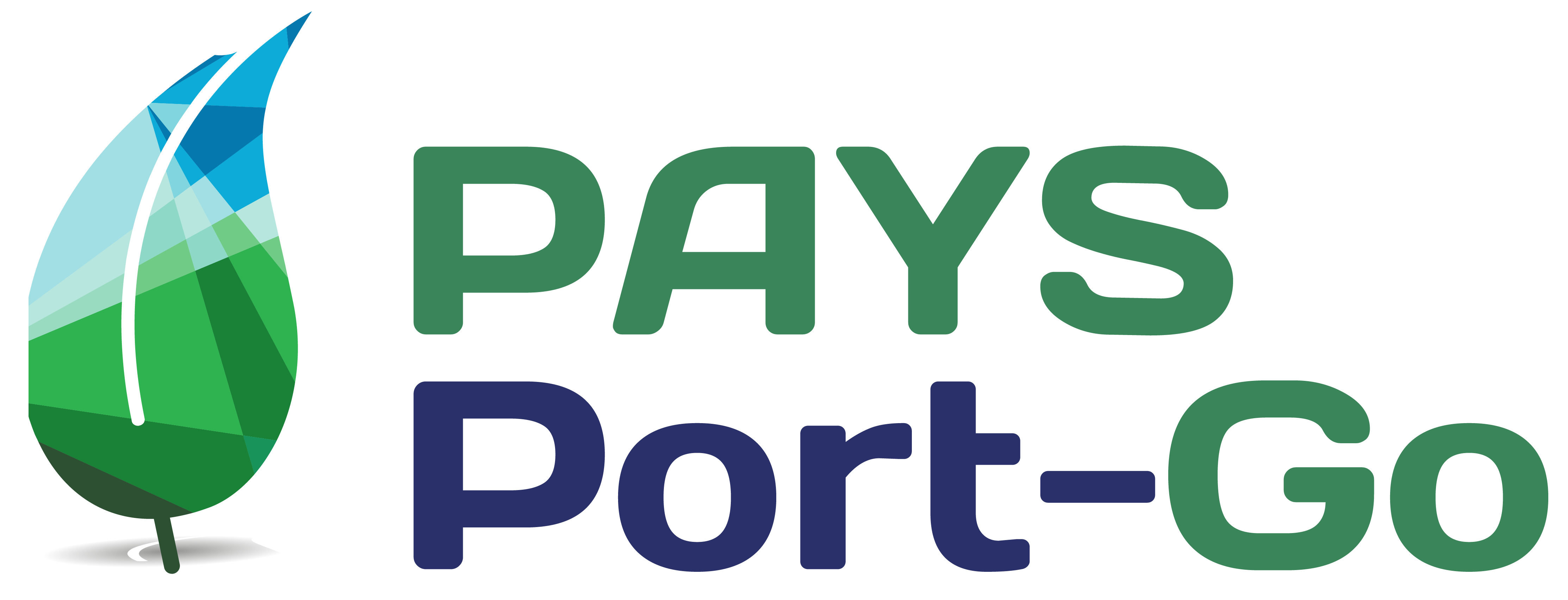 Small PAYSPort-GO logo, click to go to home page.