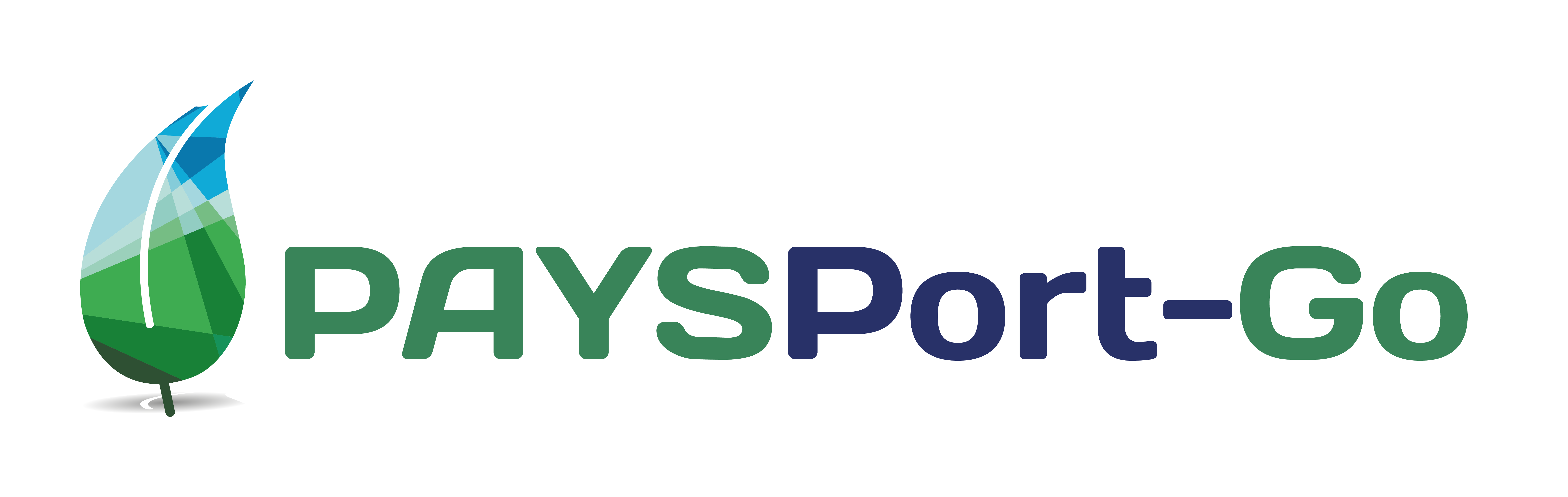 PAYSPort-Go heading logo